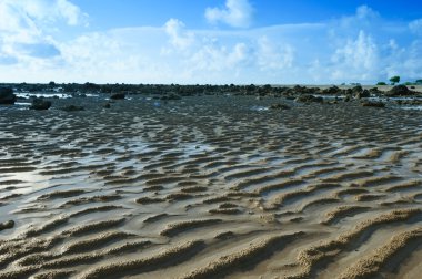 güzel kum arka plan