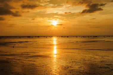 siluet plaj ve günbatımı