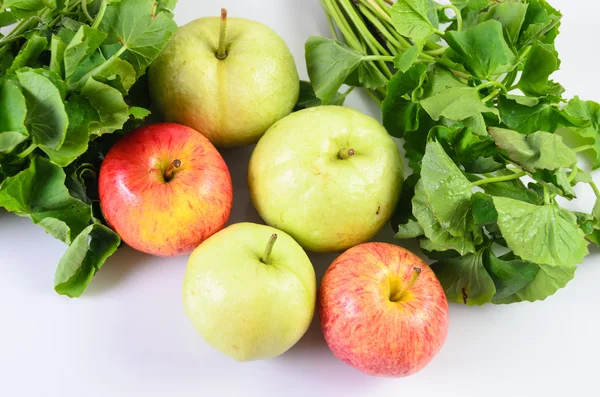 Guava a asijské na bílém pozadí — Stock fotografie