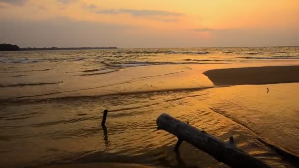 Ondas na praia à noite — Vídeo de Stock