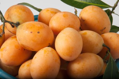 Marian Erik veya maprang