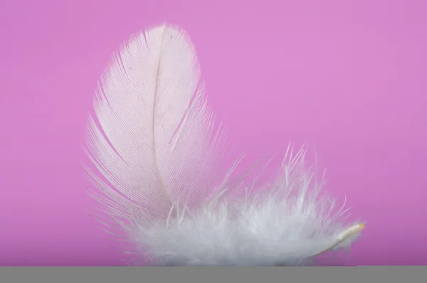 Flying gray feather — Stock Photo, Image