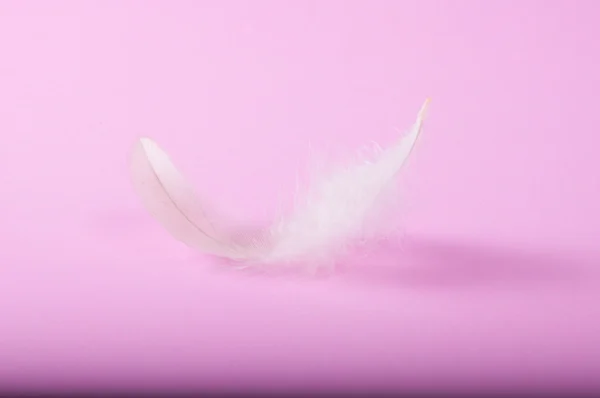 Flying gray feather — Stock Photo, Image
