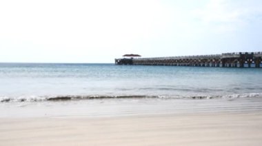 plaj ve tropikal deniz