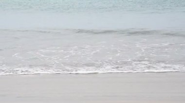 plaj ve tropikal deniz