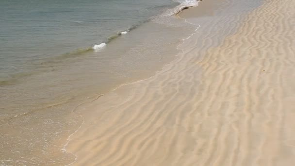 Beach and tropical sea — Stock Video