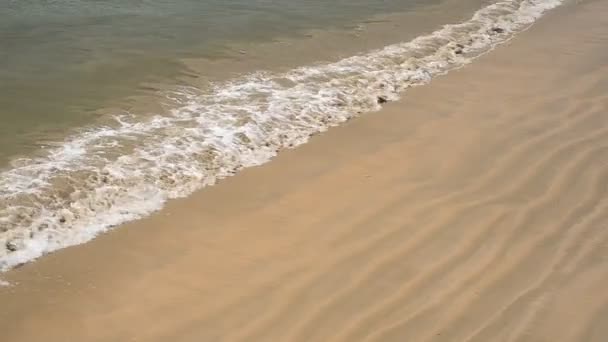 Beach and tropical sea — Stock Video