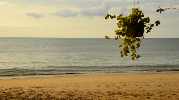 Turbinas eólicas en la playa — Vídeos de Stock