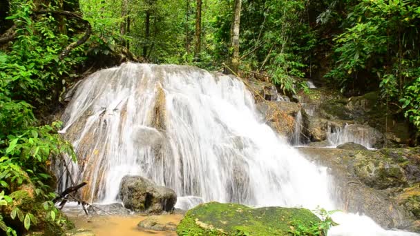 Tiefer Waldwasserfall — Stockvideo