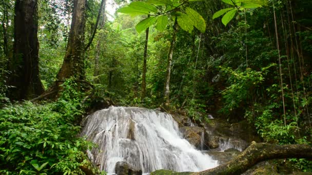 Cascade de forêt profonde 