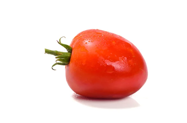 Manojo de tomates frescos con gotas de agua. Aislado en la espalda blanca — Foto de Stock