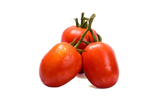 Manojo de tomates frescos con gotas de agua. Aislado en la espalda blanca — Foto de Stock