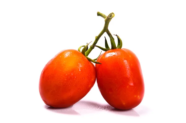 Manojo de tomates frescos con gotas de agua. Aislado en la espalda blanca — Foto de Stock