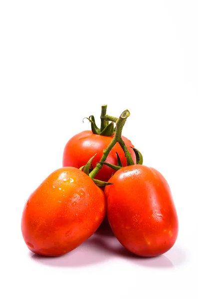 Manojo de tomates frescos con gotas de agua. Aislado en la espalda blanca — Foto de Stock