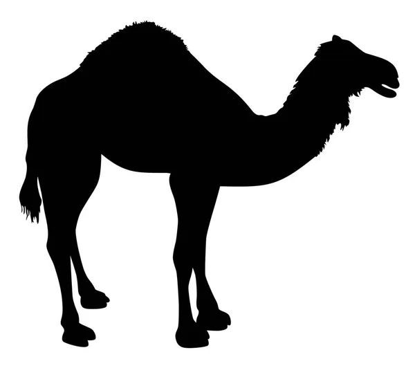 Силуэт Векторной Иллюстрации Животных Верблюдов — стоковый вектор