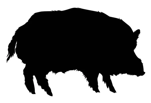 Silhouette Animal Wild Boar Vector Illustration — Stock Vector