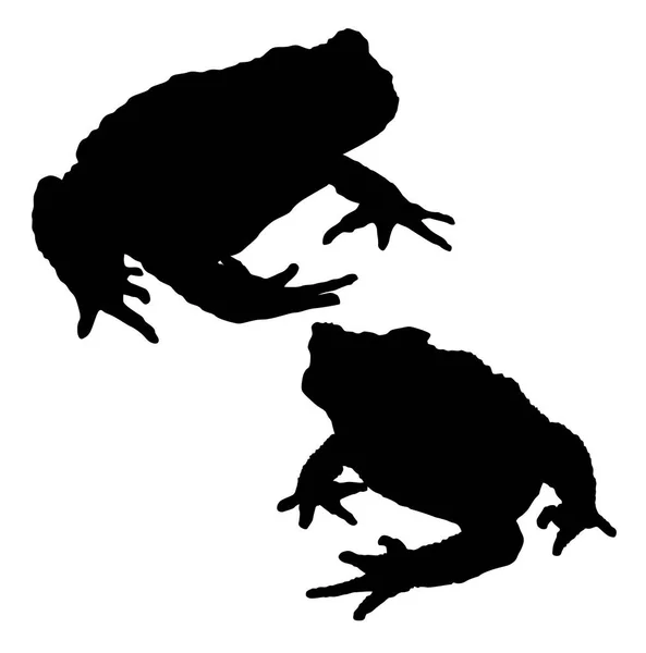 Silhouette Vector Illustration Frog — Vetor de Stock