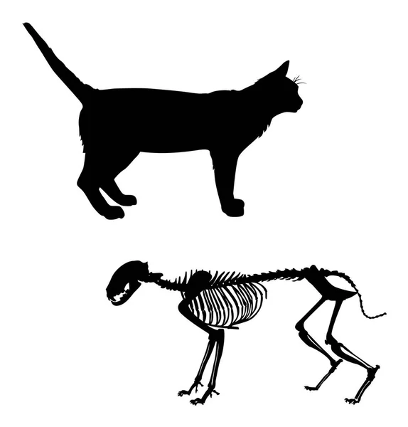 Silhouette Skeleton Animal Cat Vector Illustration — стоковый вектор