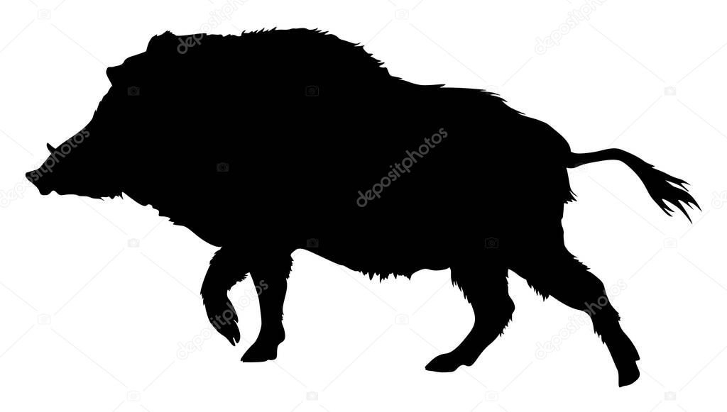 silhouette of the animal wild boar vector illustration