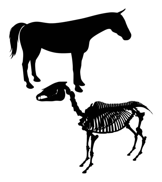 Állatvektor Illusztráció Sziluettje Csontváza — Stock Vector