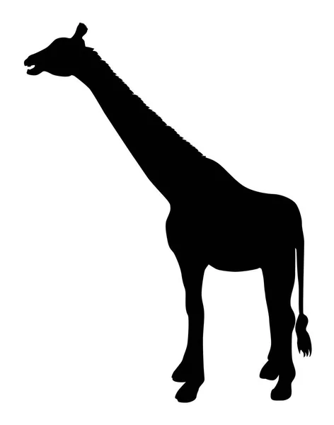 Silhouette Animal Giraffe Vector Illustration — Wektor stockowy