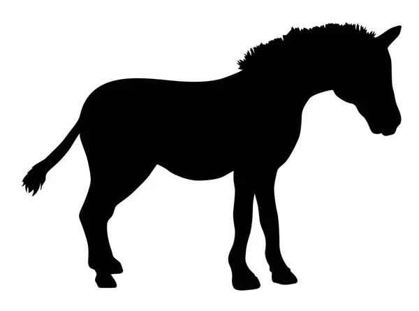 Zebra Animal Silhouette Vector Illustration — Vector de stock