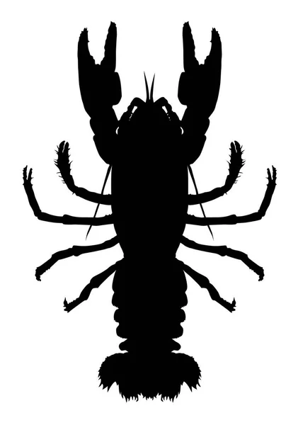Silhouette Animal Crayfish Vector Illustration — Stockvektor