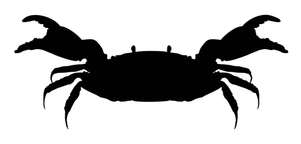 Silhouette Einer Tierischen Krabbenvektorillustration — Stockvektor