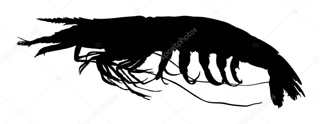 silhouette of an animal shrimp vector illustration
