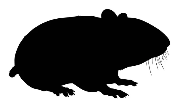 Silhueta Uma Ilustração Vetor Animal Hamster — Vetor de Stock