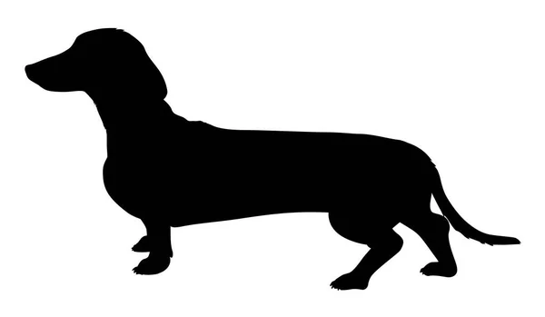 Silueta Una Raza Dachshund Perro Vector Ilustración — Archivo Imágenes Vectoriales
