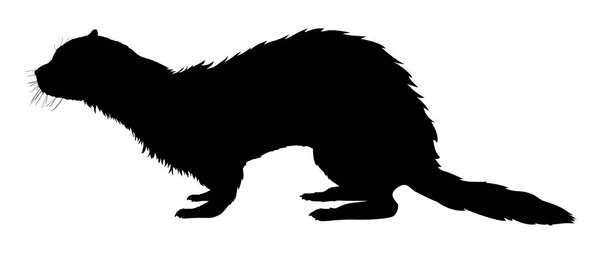 Silhouette Ferret Animal Vector Illustration — Stock Vector