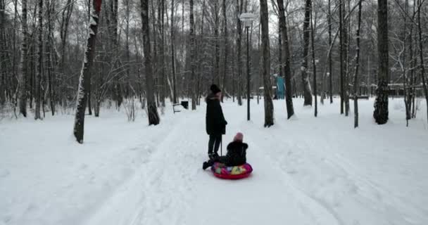 Мать Дочь Скользят Снежной Трубе Зимнем Лесу Открытом Воздухе Дочь — стоковое видео