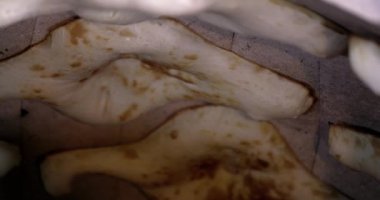 Özbek Ekmek, Arap Khubz, Hint Düz Ekmeği Tandoor 'da.