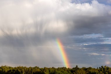 Rainbow colorful sunset on blue pink sky yellow clouds skyline. blue sky with white clouds - perfect for sky replacement