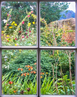 Cottage Garden through an old sash window clipart