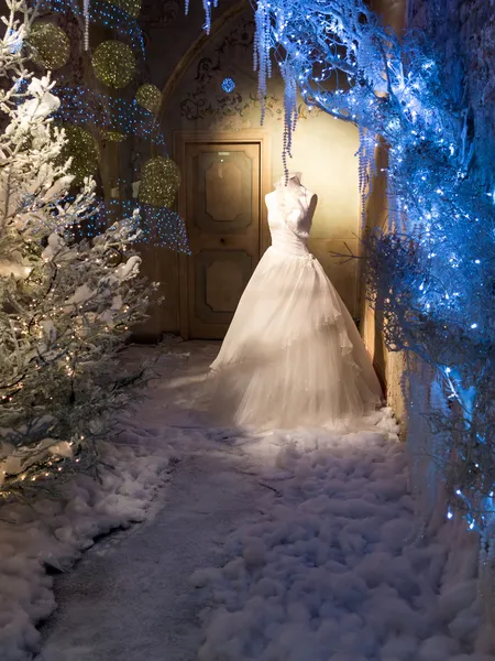Esposizione invernale di abito da sposa — Foto Stock