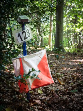 Orienteering Equipment in the Forest clipart
