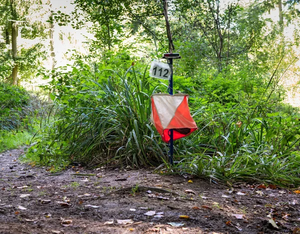 Orienteering Equipment in the Forest — Stock Photo, Image