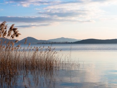 alacakaranlıkta göl bullrushes