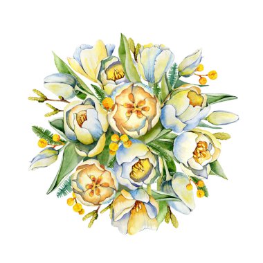 Bir buket lale, bahar çiçekleri, mimoza dalları. Suluboya çizimi beyaz arkaplanda izole edildi. Kartpostal Anneler Günü, Uluslararası Kadınlar Günü, düğün