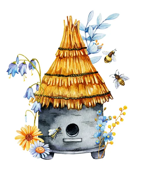 Bee hive in the apiary with bees and flowers. Hand drawn watercolor illustration isolated on white background — стоковое фото