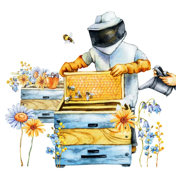 The beekeeper in the apiary takes out the honeycomb from the beehive. Hand drawn watercolor illustration isolated on white background — Stock Fotó