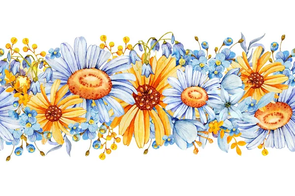 Champ bleu-jaune fleurs sauvages, bordure de fleurs de marguerites et de bleuets. Illustration aquarelle dessinée à la main isolée sur fond blanc — Photo