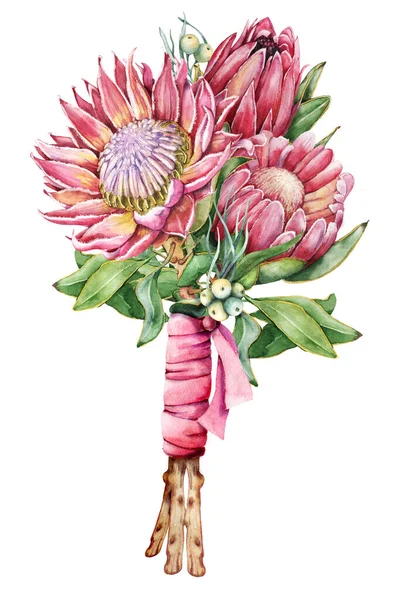 Protea Çiçeği Buketi Elle Çizilmiş Suluboya Çizimi Beyaz Arka Planda — Stok fotoğraf