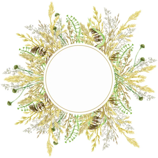 Watercolor greenery frame, Floral grass wreath. Hand drawn wild meadow herbs floral Botanical illustration isolated on white background, greeting card Round border with space for text — ストック写真