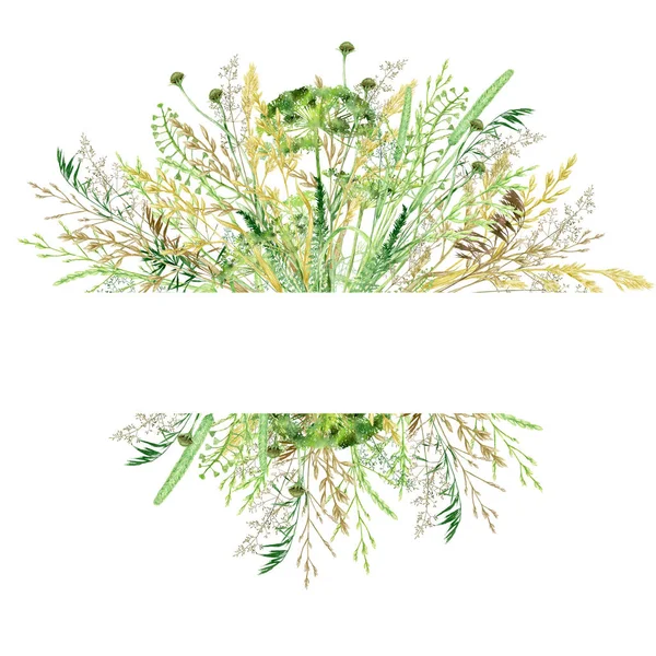 Acquerello cornice verde erba bordo, prato selvatico a base di erbe verde illustrazione, cereali piante selvatiche, floreale disegnato a mano primavera estate erbe naturali isolate su sfondo bianco con spazio copia per il testo — Foto Stock