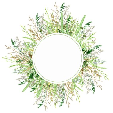 Suluboya yeşillik çerçevesi, çiçek çelengi. El çizimi yabani çayır otları beyaz arkaplanda izole edilmiş çiçek botanik illüstrasyonu, metin için metin alanı ile tebrik kartı kenarlığı