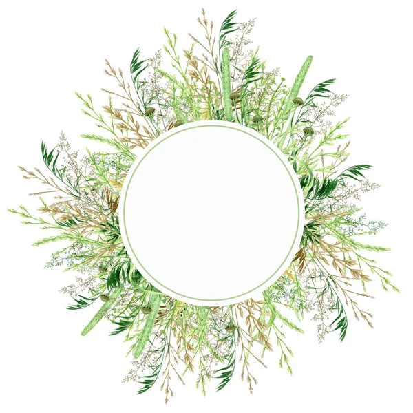 Watercolor greenery frame, Floral grass wreath. Hand drawn wild meadow herbs floral Botanical illustration isolated on white background, greeting card Round border with copy space for text — Photo