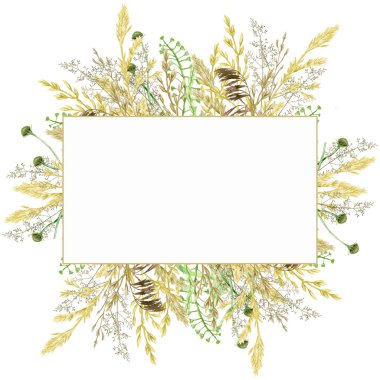 Suluboya yeşillik çerçevesi, çiçek çelengi. El çizimi yabani çayır otları beyaz arkaplanda izole edilmiş çiçek botanik illüstrasyonu, metin için metin alanı ile tebrik kartı kenarlığı